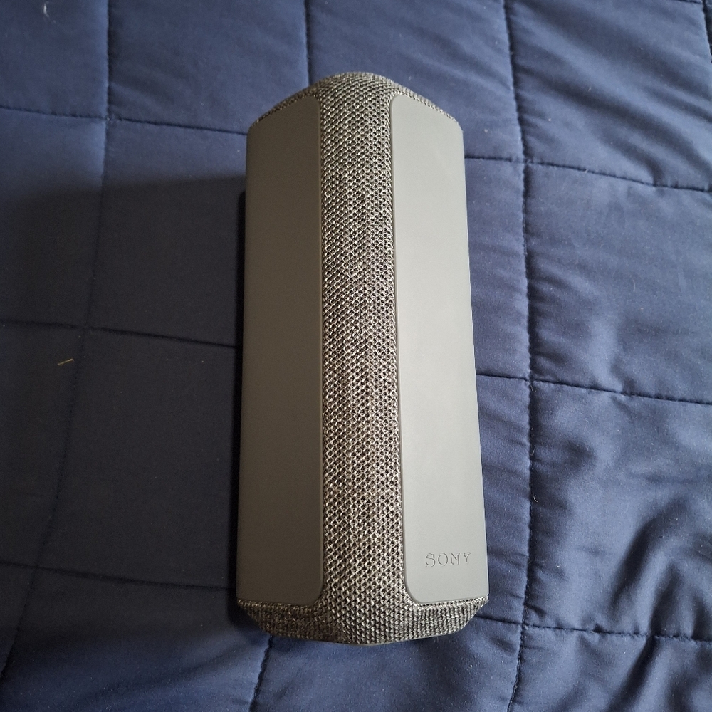 Gray Sony SRS-XE300
